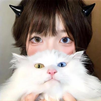 冰球小子第三季